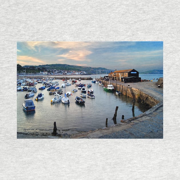 Lyme Regis Harbour by galpinimages